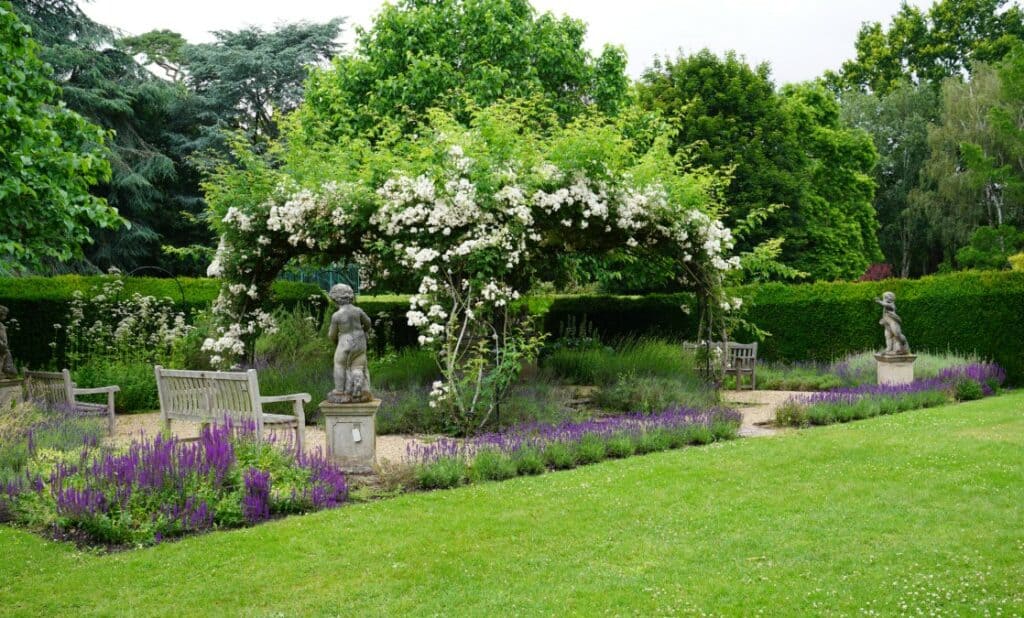 What's Here Capel Manor Gardens