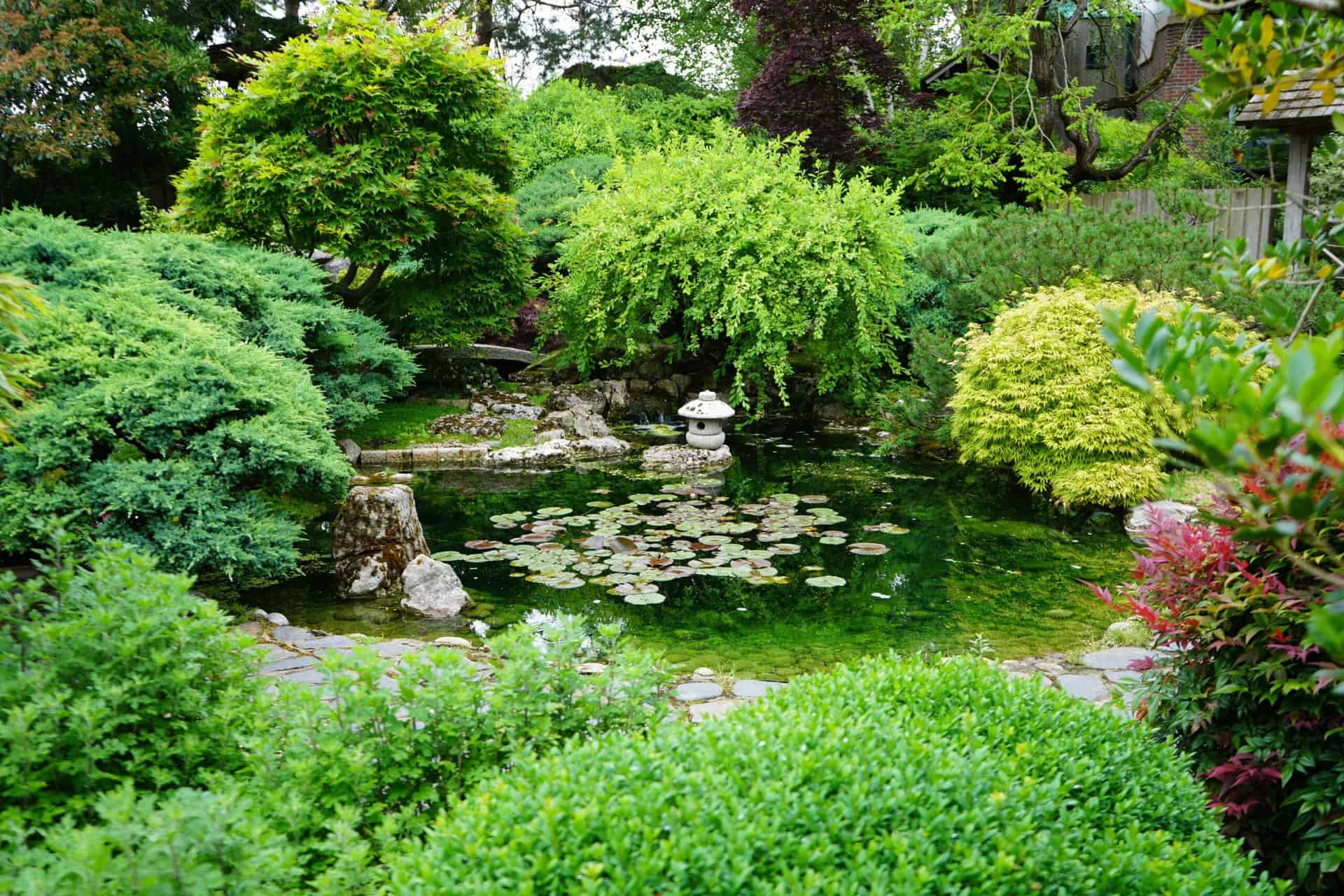 The Japanese Garden - Capel Manor Gardens