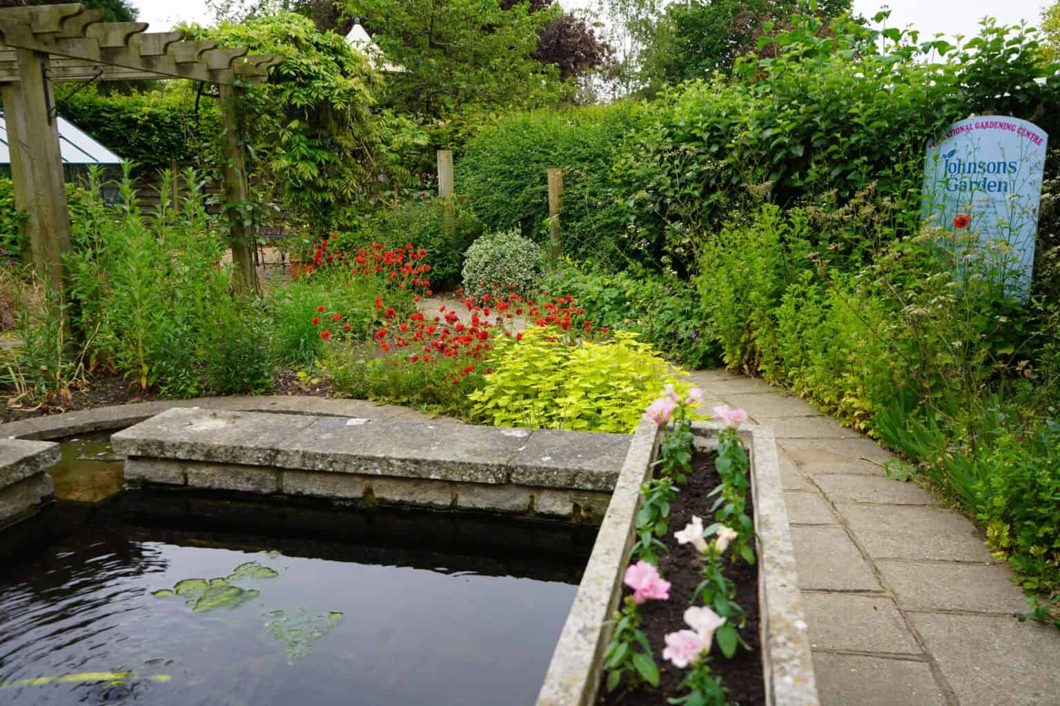 Exploring Capel Manor Gardens in June A Floral Oasis Capel Manor Gardens