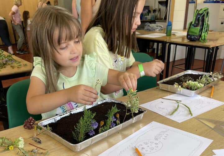 Making a miniature garden discount