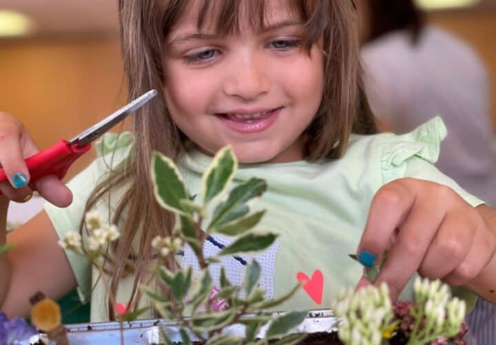Children learn how to make their own min garden