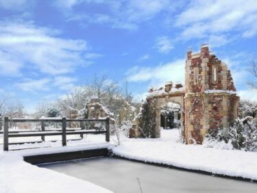 Capel Manor Gardens at Christmas time