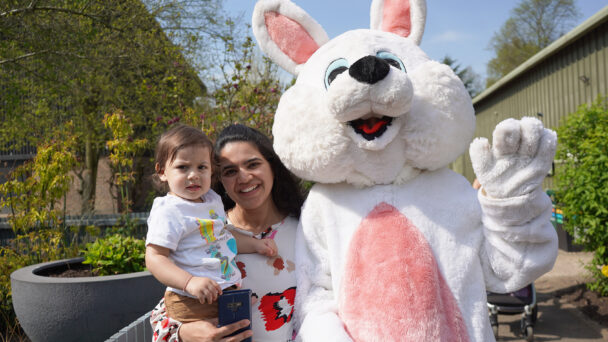 Easter bunny at Capel Manor Gardens in Enfield