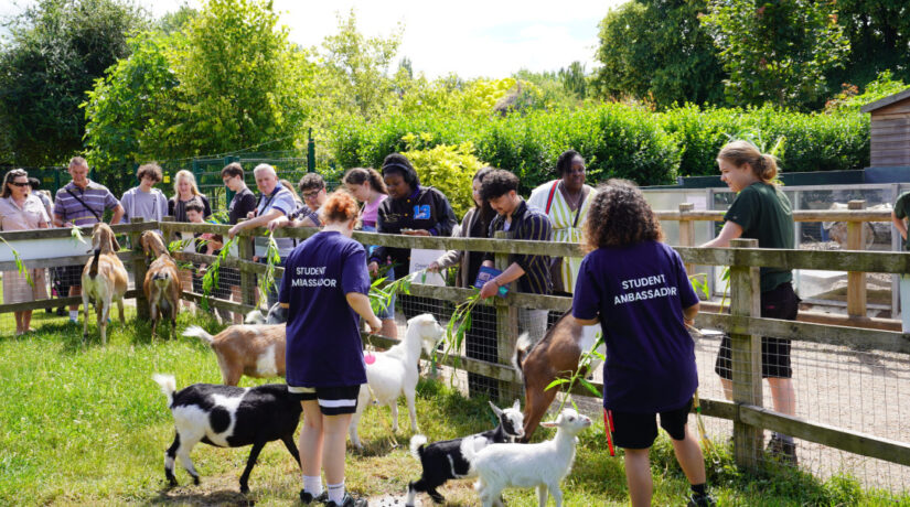 Capel Manor Students at an Open Day in the Farm at Enfield
