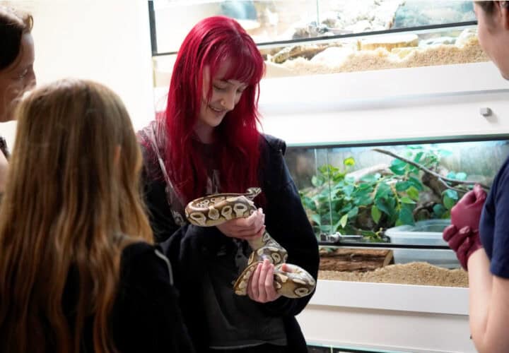 Student holding a snake