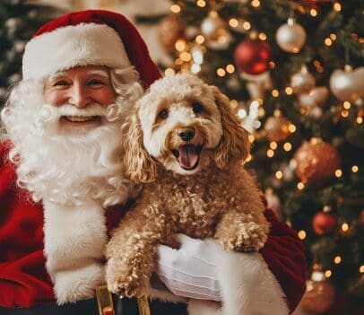 Santa with a dog on his lap