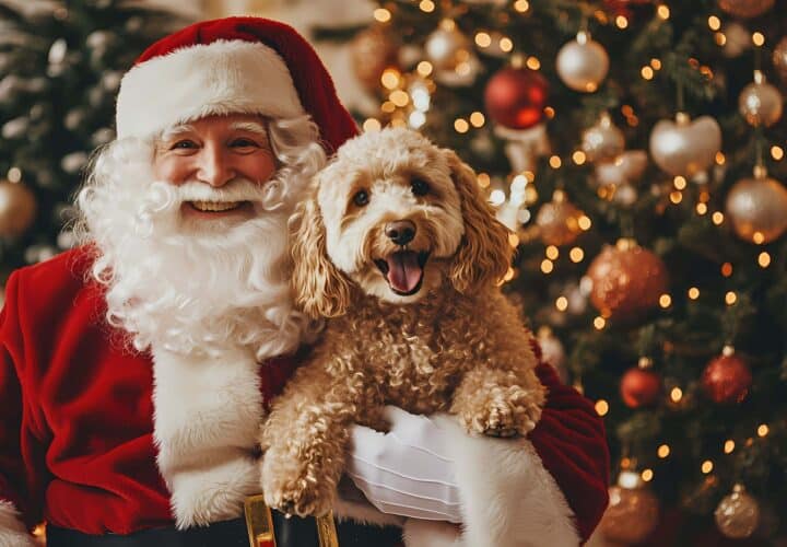 Santa with a dog on his lap