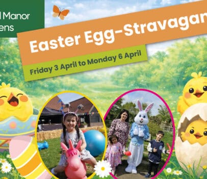 Summery setting with Chicks hatching