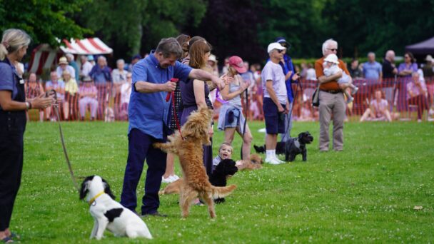 Dog show