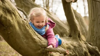 Girl climbing tree