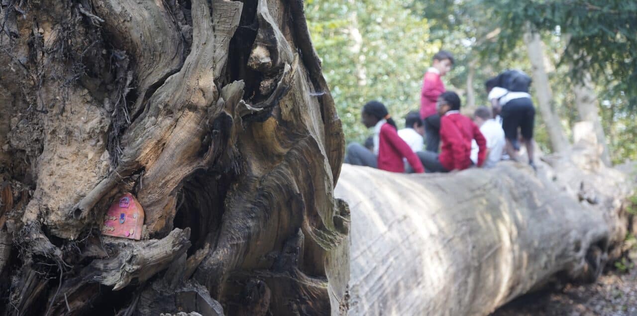 Pupils sitting on a log