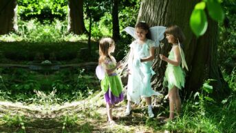 Girls dressed up as fairies
