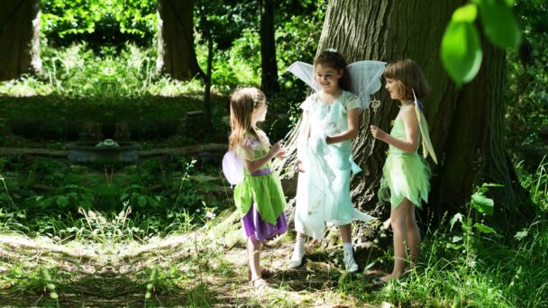 Girls dressed up as fairies