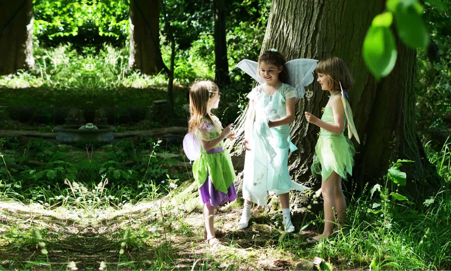 Girls dressed up as fairies