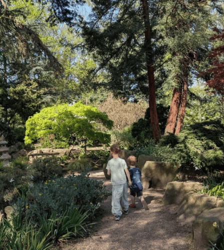 Children exploring the lush gardens during May Half-Term activities at Capel Manor Gardens.