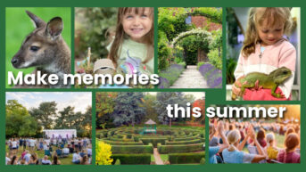 images from across Capel Manor Gardens